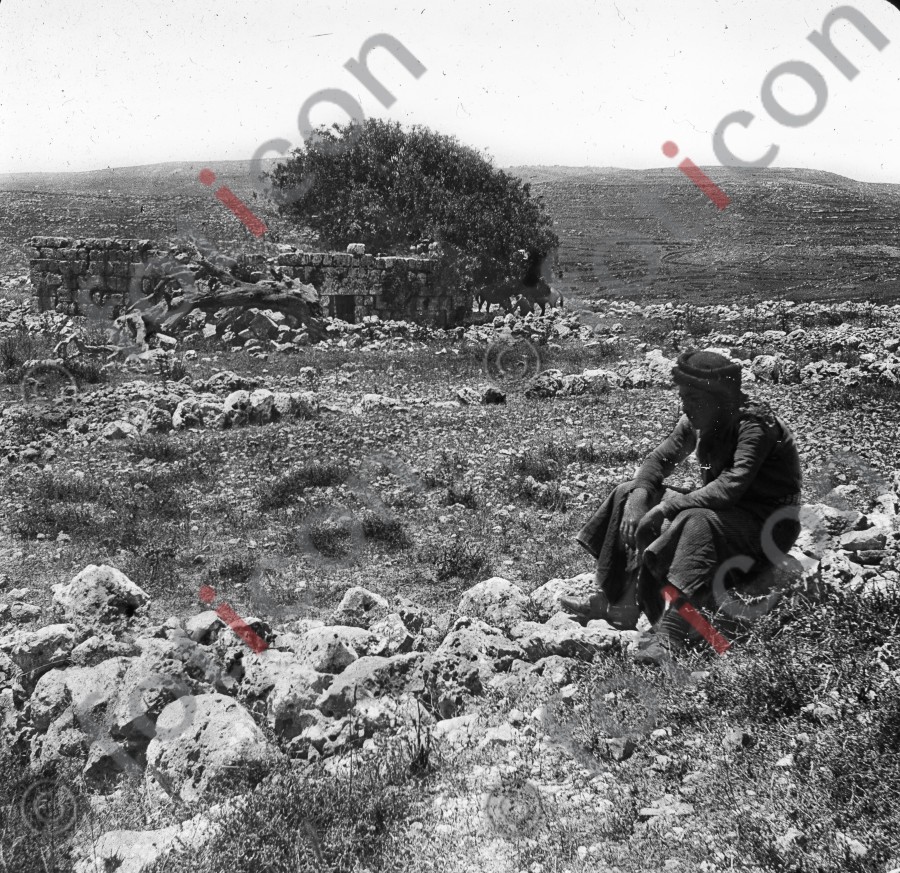 Hirten in Palästina | Shepherds in Palestine (foticon-simon-heiligesland-54-051-sw.jpg)